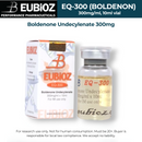 [EB] EQ-300 (Bold)